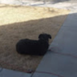 Meet your Posher, Sonia